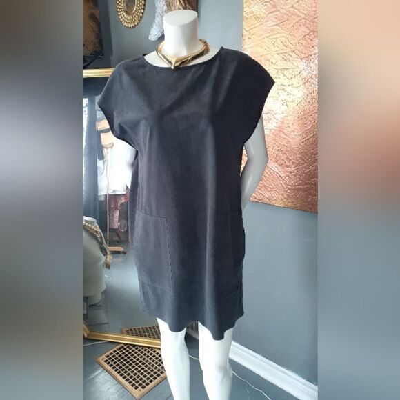 Wilfred Free Faux Suede Mini Dress - Picture 5 of 13